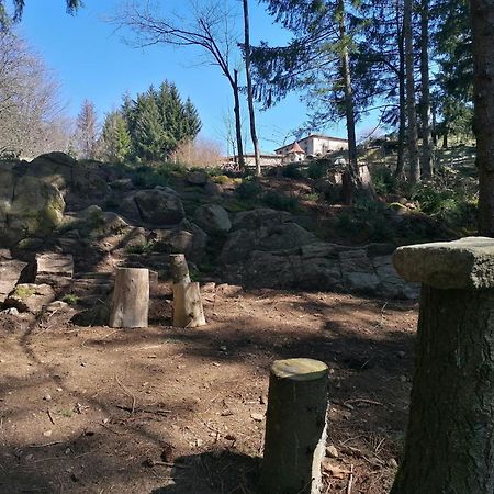 Planfoy La Fortance Paradis Naturel - Proche De La Ville מראה חיצוני תמונה