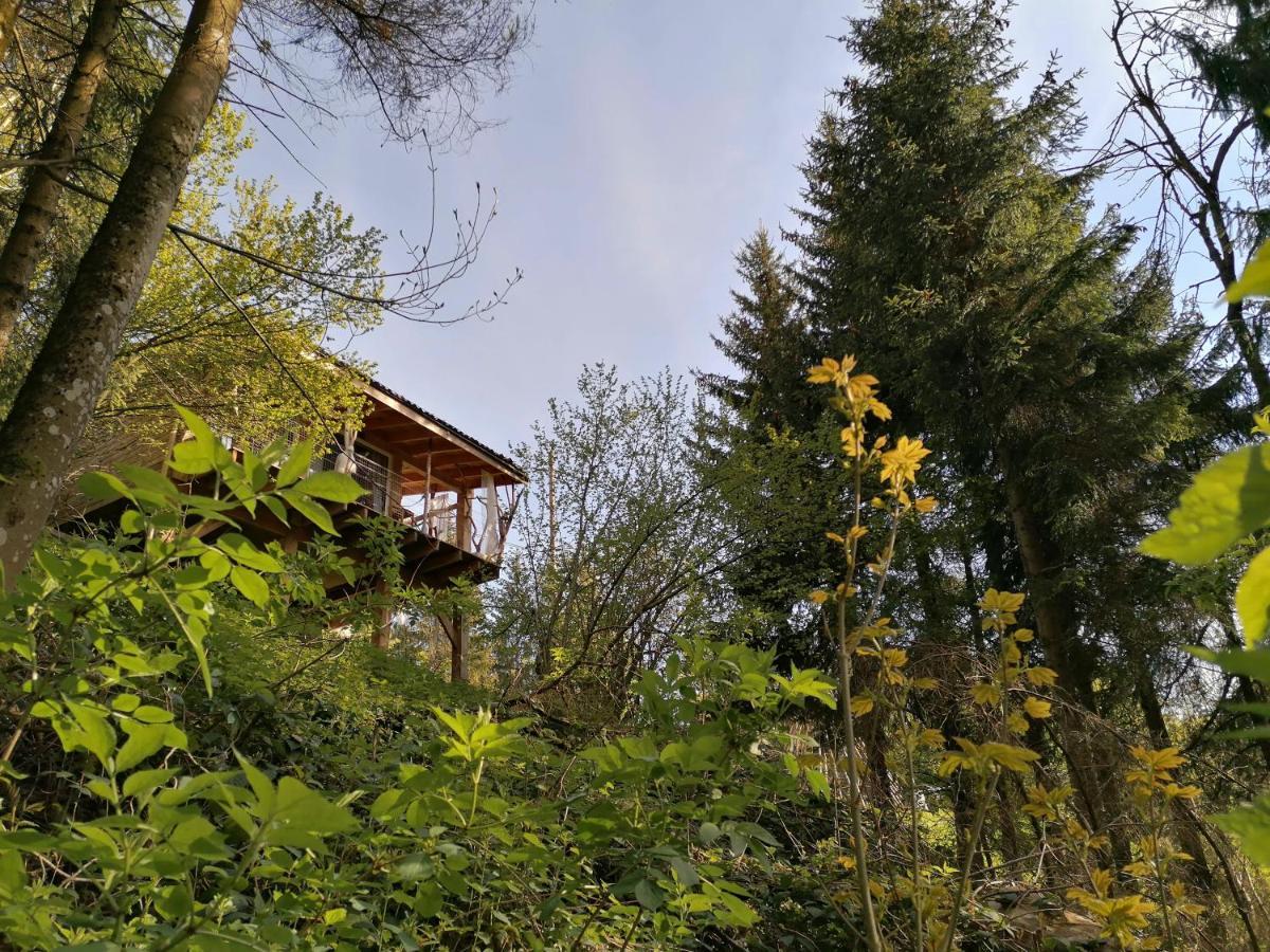 Planfoy La Fortance Paradis Naturel - Proche De La Ville מראה חיצוני תמונה