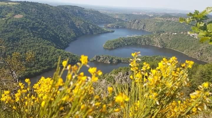 Planfoy La Fortance Paradis Naturel - Proche De La Ville מראה חיצוני תמונה
