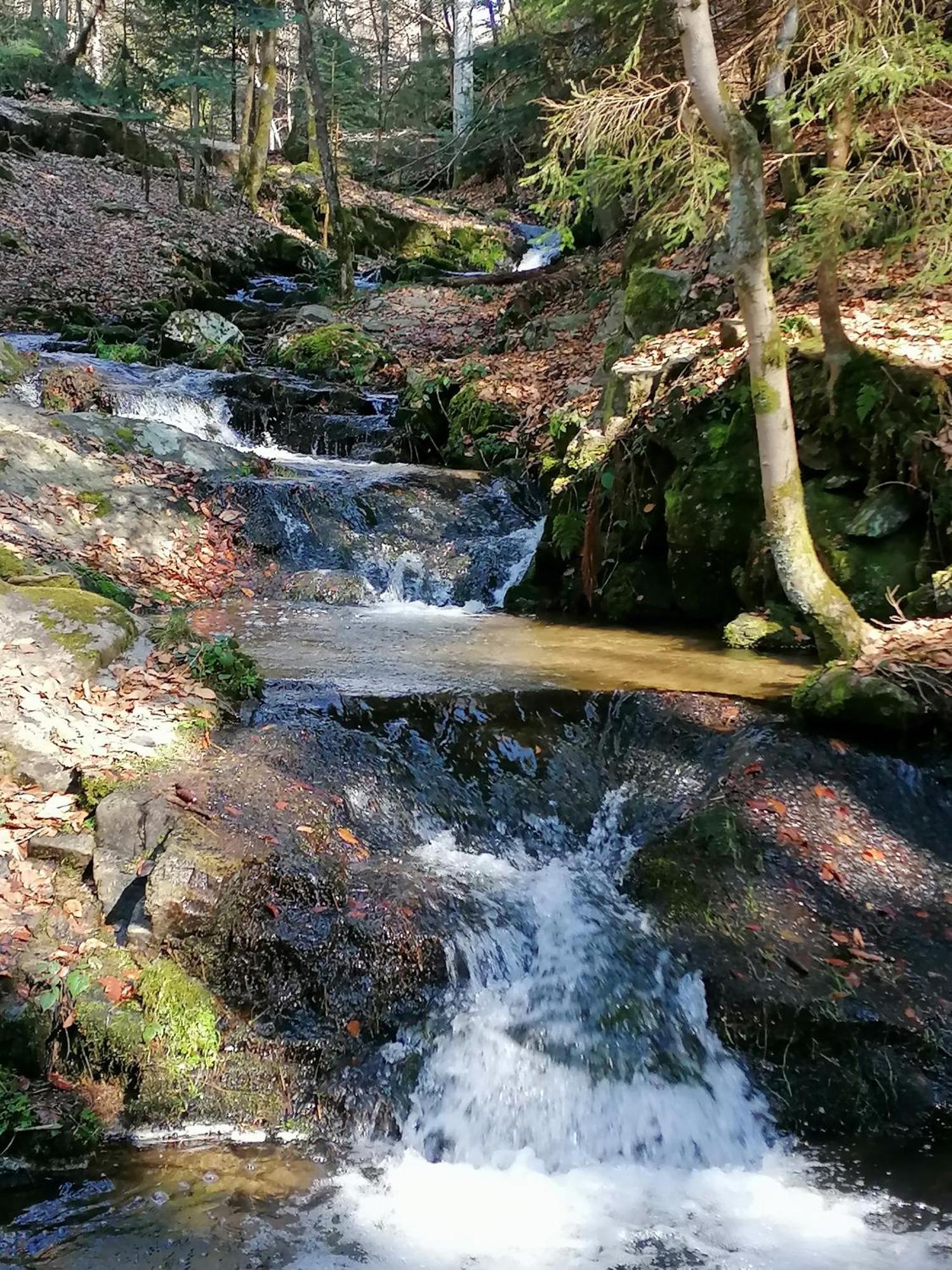 Planfoy La Fortance Paradis Naturel - Proche De La Ville מראה חיצוני תמונה