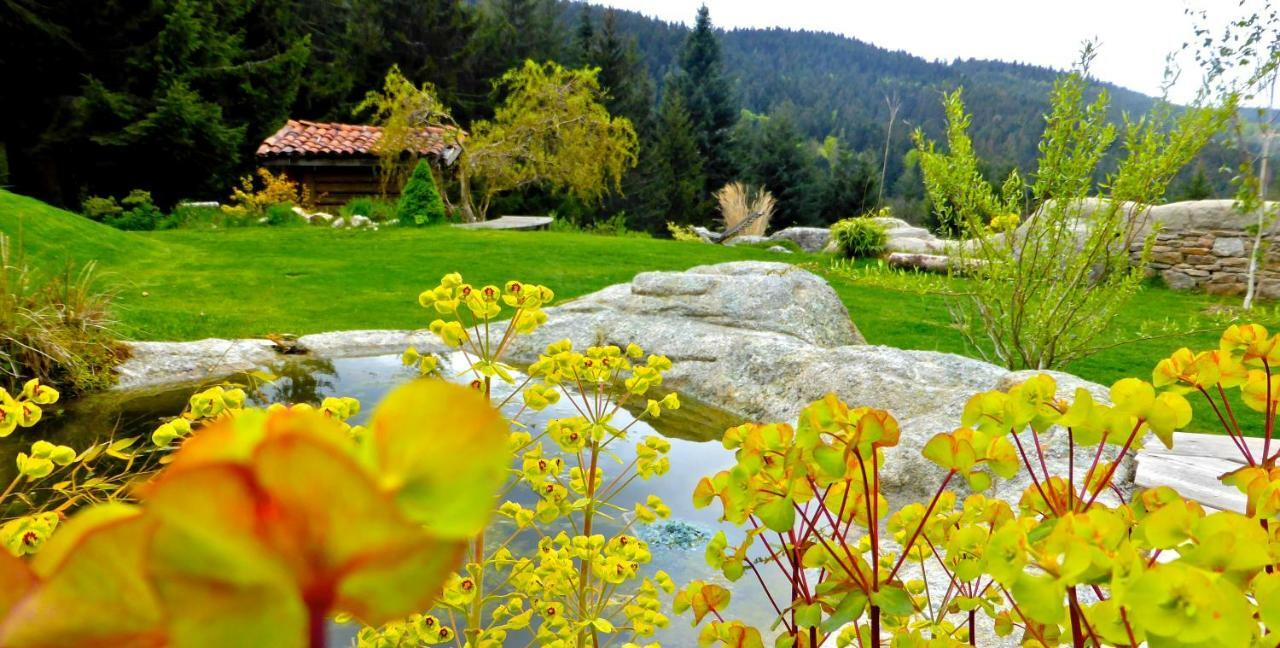 Planfoy La Fortance Paradis Naturel - Proche De La Ville מראה חיצוני תמונה